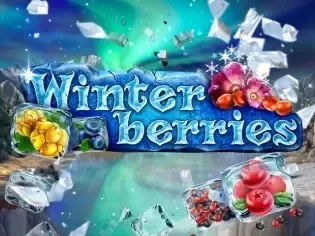 Winterberries thumbnail